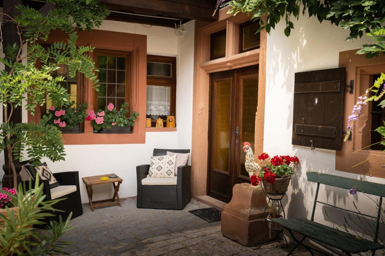 Maison Dietenbeck Wissembourg Exterior photo